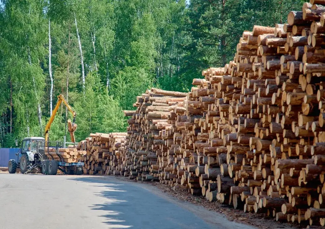 Фото: «Веснiк Магiлёва»