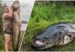 Отец с сыном выловили из Припяти на Гомельщине двухметрового сома