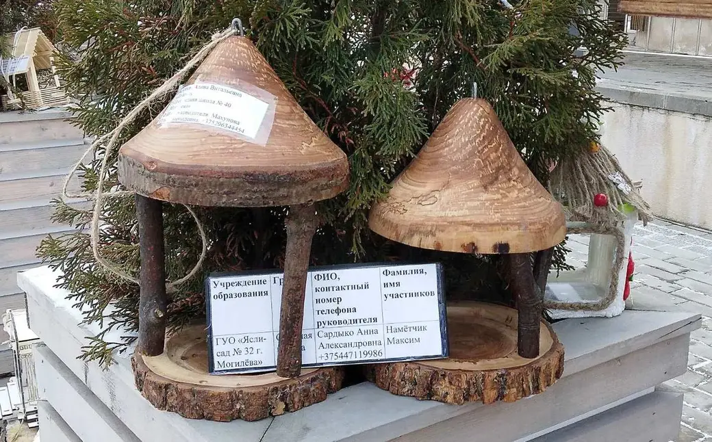 В городском парке Могилева проводится конкурс кормушек для птиц