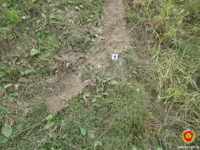 Следы транспортного средства. Фото: ГКСЭ