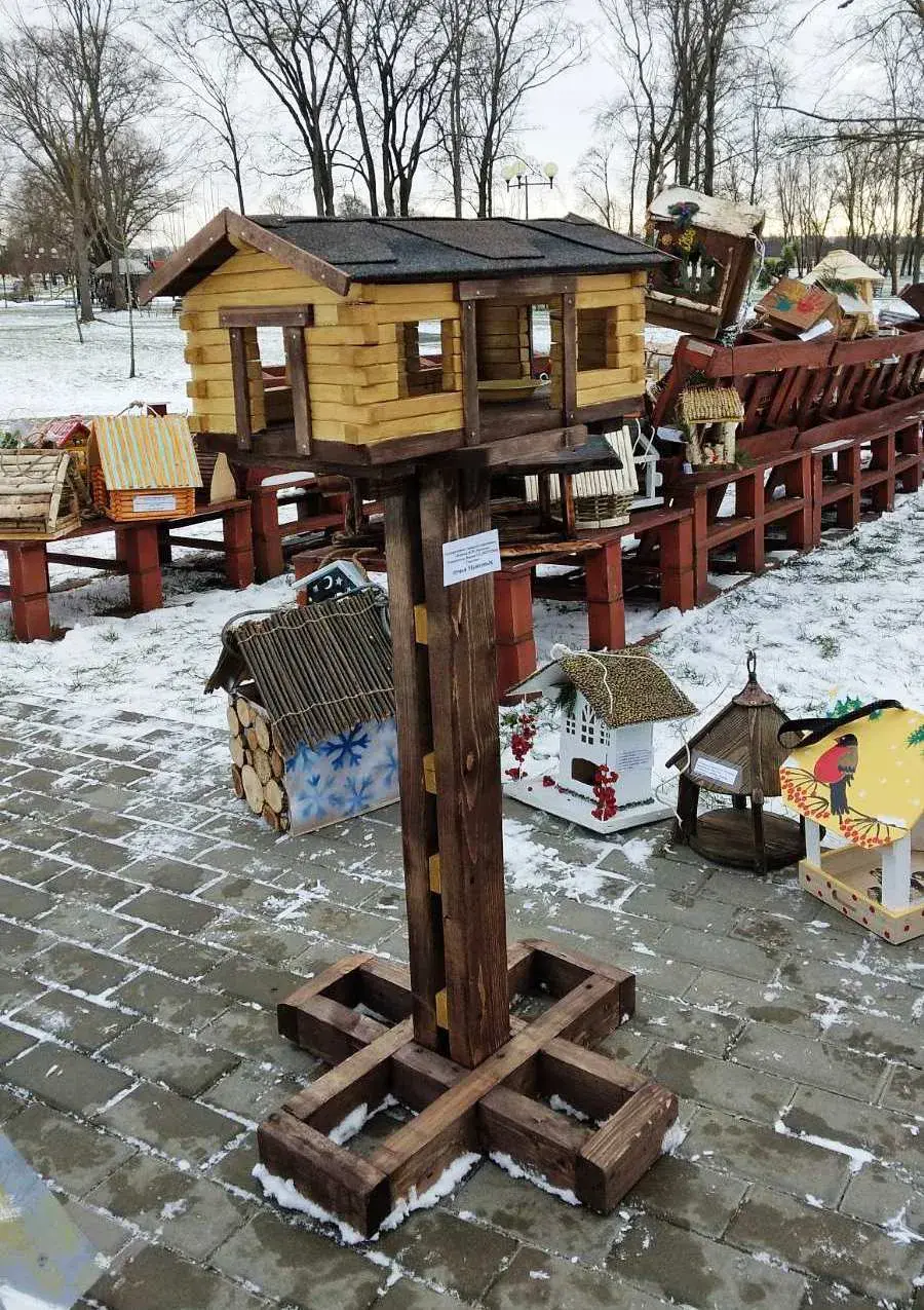 В городском парке Могилева проводится конкурс кормушек для птиц