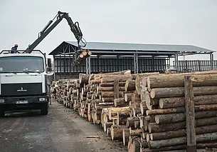 В Беларуси ограничили цены на древесину для строительства жилья на селе