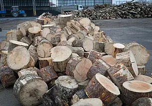 Сколько стоят дрова в Могилевском лесхозе? Узнали актуальные цены