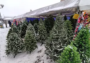 Интерактивная афиша новогодних и рождественских мероприятий в Могилеве