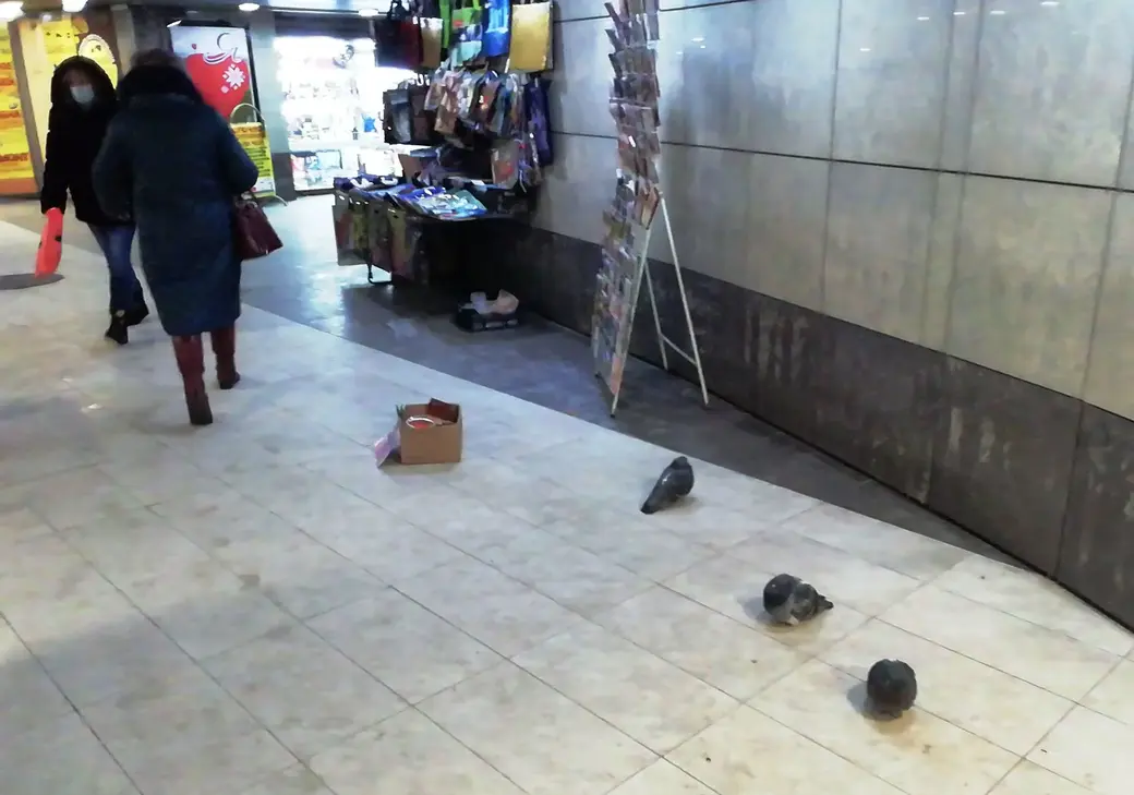 Могилев готовится к Рождеству и Новому году. 8.12.2021