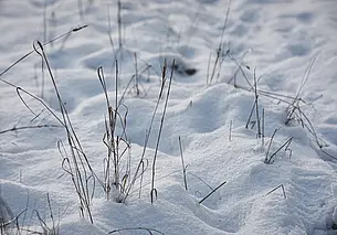 На выходные в Могилеве обещают сильные снегопады