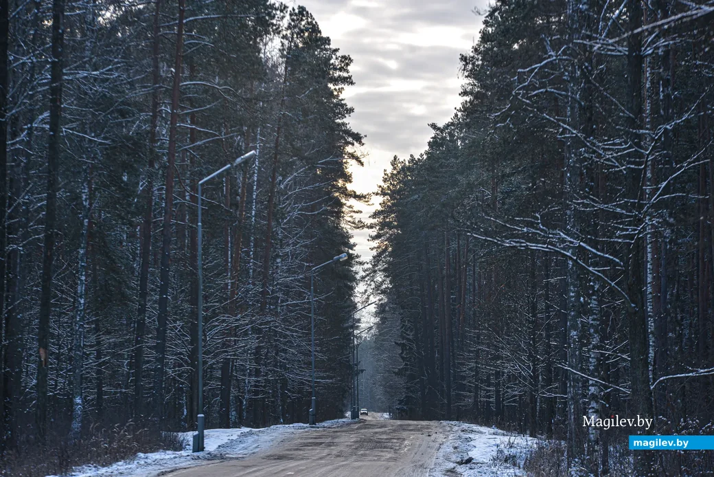 08.12.2021. Сычковский сельский Совет. Морозный день в декабре. Лесопарковая зона возле санатория