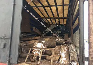 Под Могилевом остановили фуру с 20 т лома черного металла стоимостью 8,2 тыс