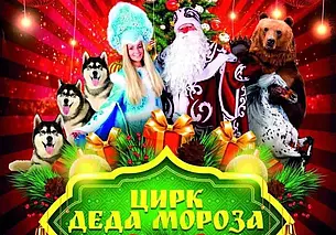 В Могилев приезжает новогодний цирк шапито с программой «Цирк Деда Мороза»: в instagram разыгрывают билеты