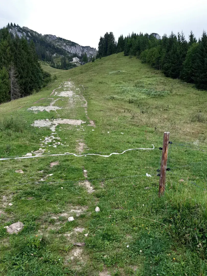 Бавария. Олег Лисовский