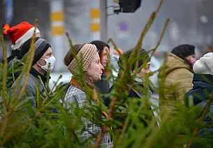 Ярмарку и конкурсы на лучшего Деда Мороза и новогоднюю елку проведут в Могилеве