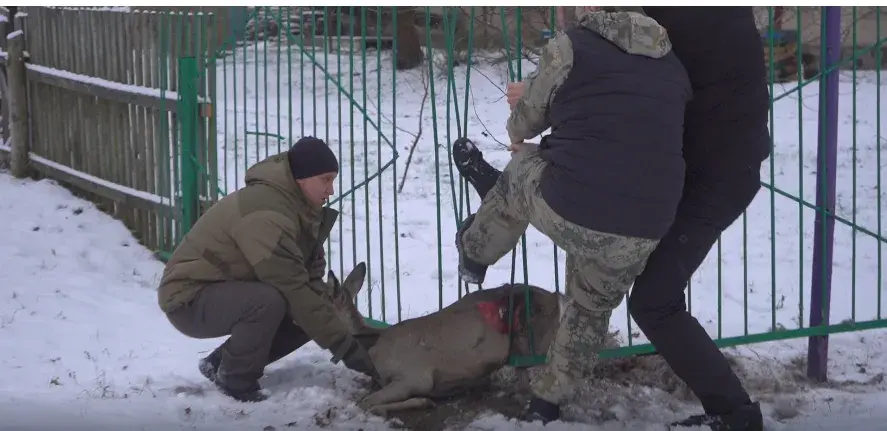 Фото: скриншот видео СБ
