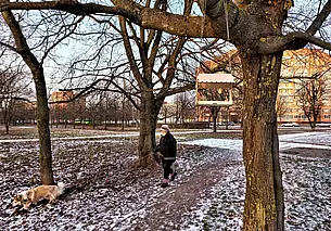 В Могилеве благоустроят парк им. 60-летия Великого Октября: акцент будет на тихий отдых