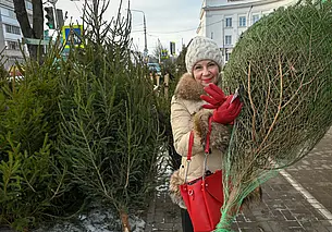 Минлесхоз: с каждым годом число незаконных рубок новогодних деревьев сокращается