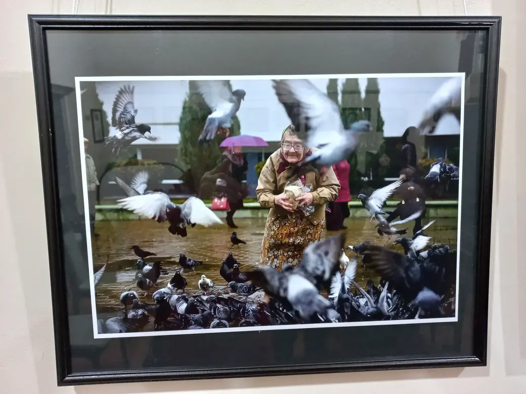 23.12.2021 г. Могилев. Выставка работ члена Союза фотохудожников России Алексея Тудакова