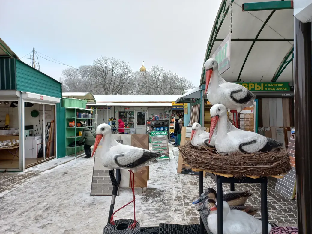 28.12.2021 г. Быховский рынок. Такому аисту мороз и холод – не помеха
