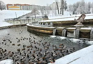28  декабря в Могилеве. Дубровенка: от Быховского рынка до Русалки-Алки