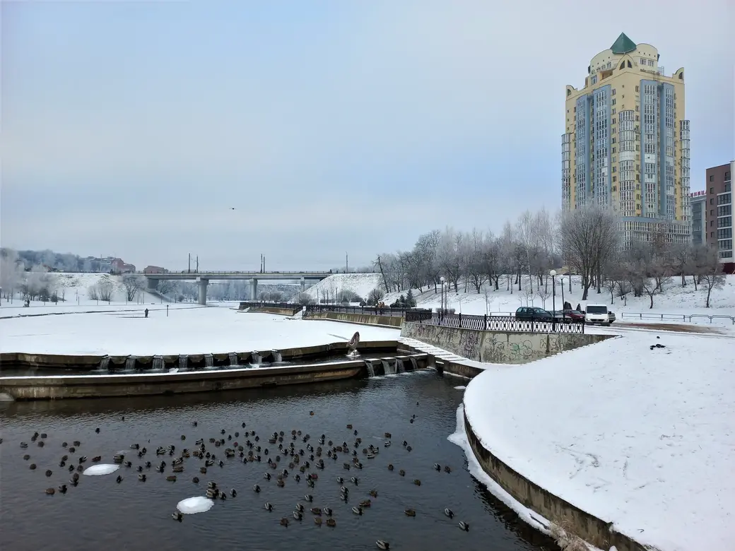 28.12.2021 г. Дубровенка. В происках лучшей доли