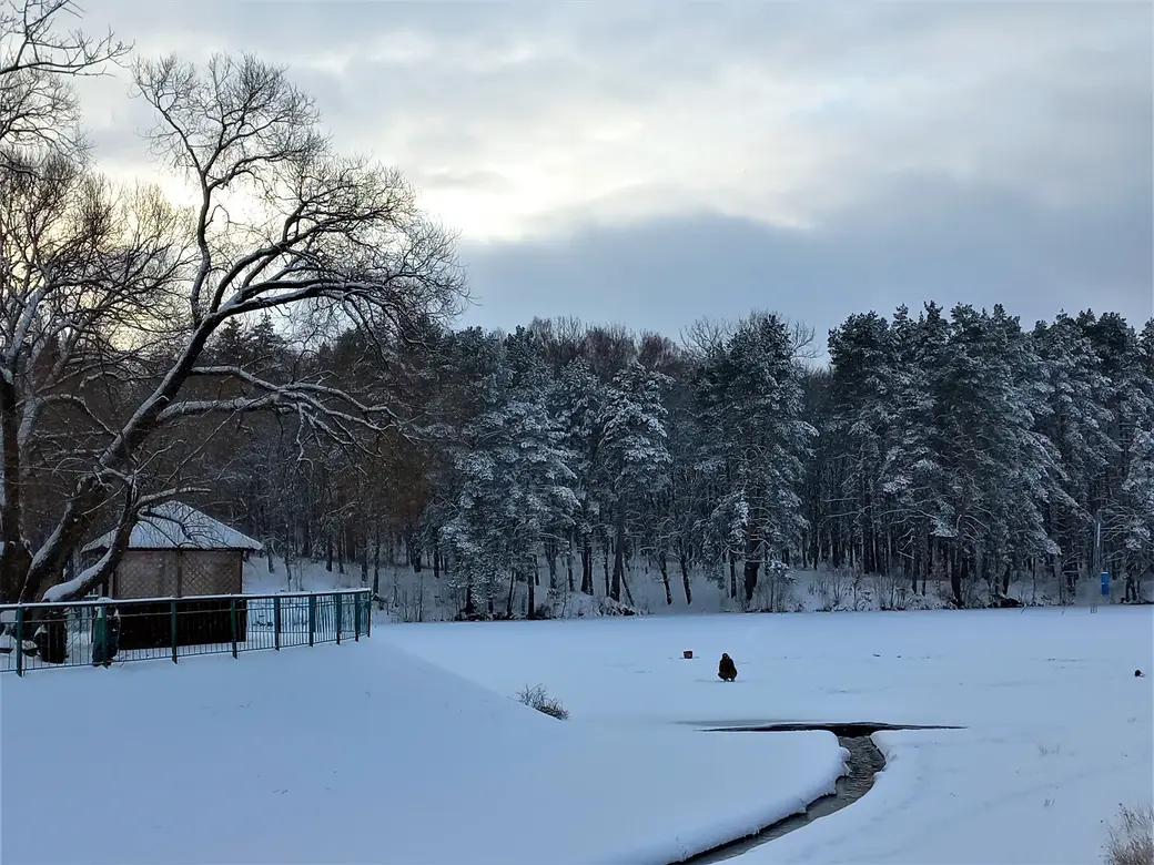 3.01.2022 г. Вот и зимний день уж клонится к закату...
