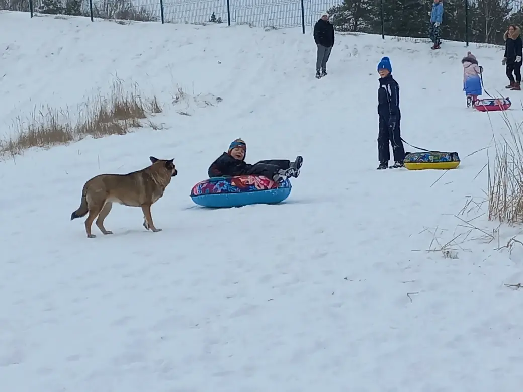 3.01.2022 г. На горке, как и в жизни, приходится соблюдать определенные правила. Иначе столкновения неизбежны