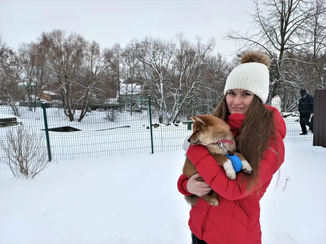 3.01.2022 г. Таких четвероногих красавчиков лучше держать при себе