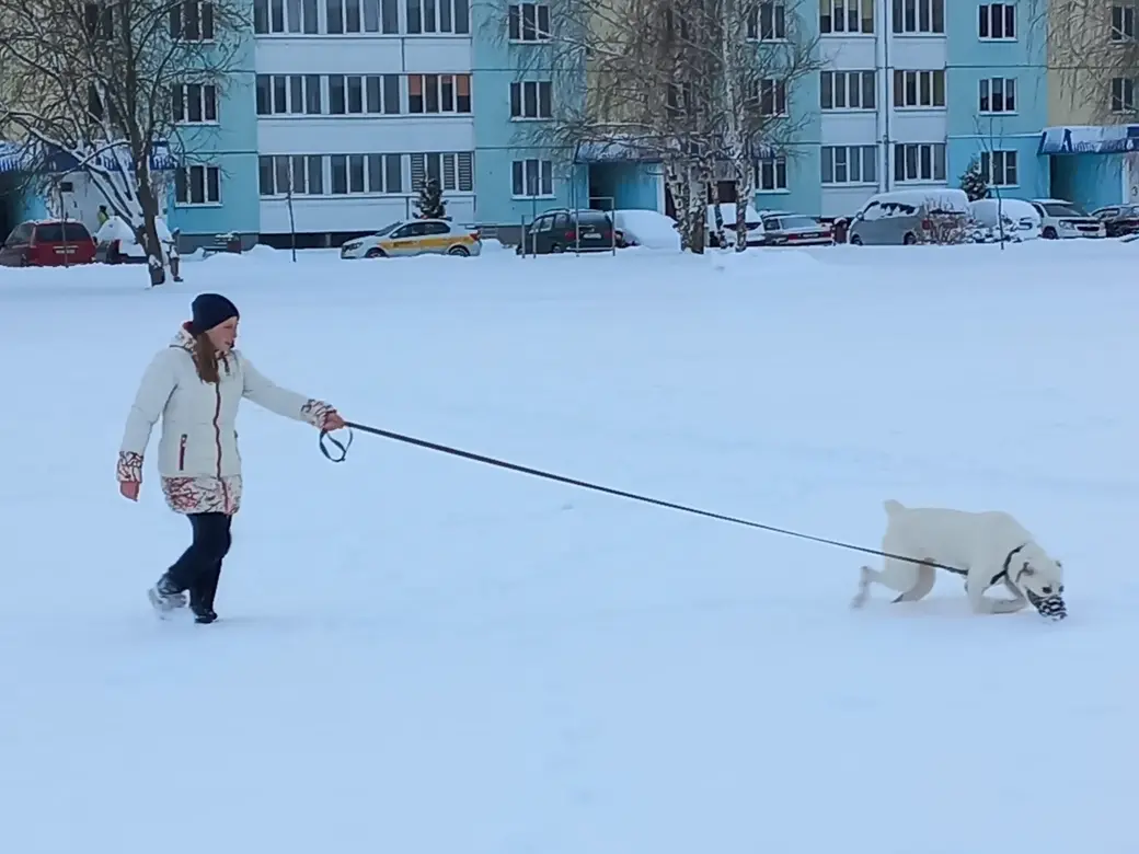 10.01.2022 года, Могилев, микрорайон Казимировка. Белая с белым на белом