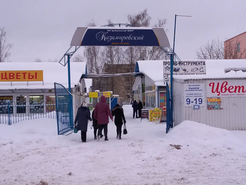 10.01.2022 года, Могилев, микрорайон Казимировка. Яблоки на снегу. И даже цветы