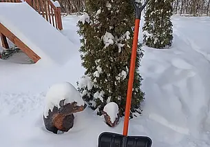 В Могилеве расчистить снег горожанам помогают активисты, волонтеры и частные компании