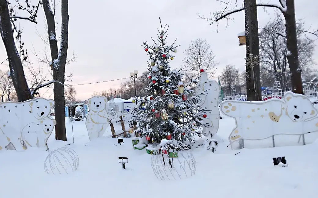 10.01.2022 г. Могилев, парк Подниколье