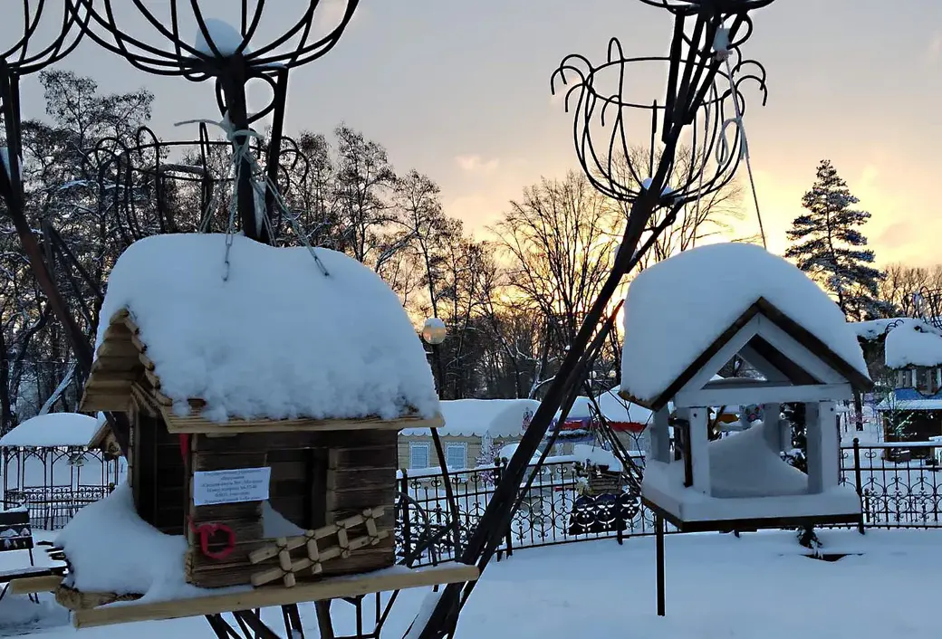 10.01.2022 г. Могилев, парк Подниколье