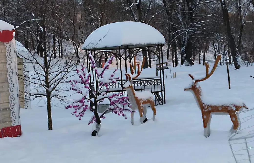 10.01.2022 г. Могилев, парк Подниколье