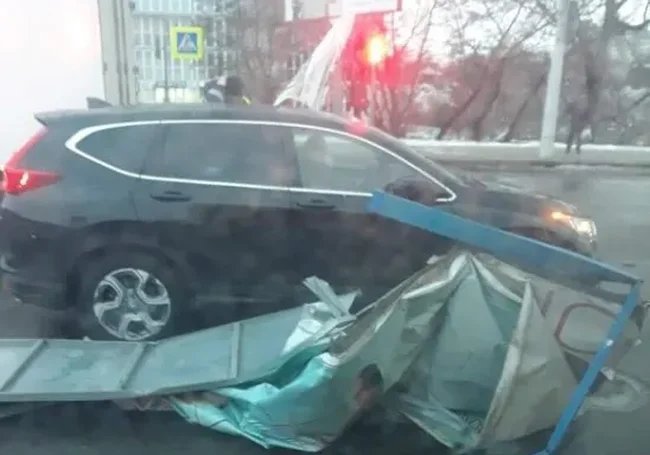 В Могилеве сильный ветер ломает деревья и сносит кровлю