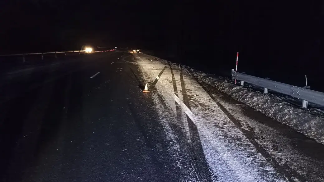 Гражданин Узбекистана погиб в аварии в Белыничском районе. 15.01.2022 г.