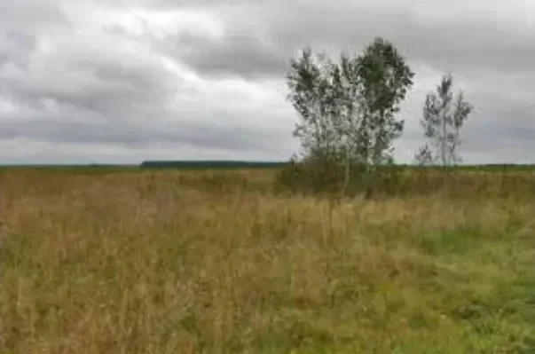 Место, где находился старый аэродром г.Климовичи. Где-то здесь покоятся сотни жертв