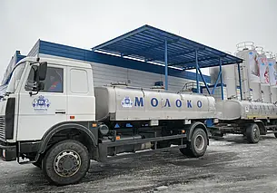 Производство молока выросло в Беларуси более чем на 220 тысяч тонн