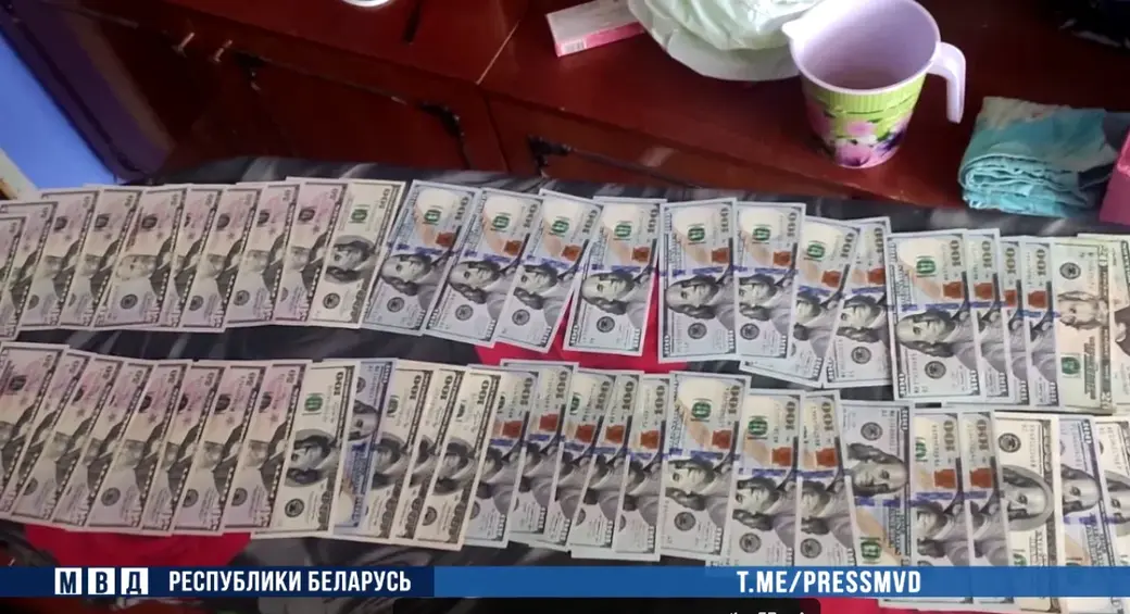 Крупную сумму денег похитила могилевчанка у подруги