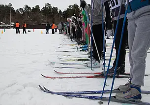 Городской спортивный праздник «Могилевская лыжня-2022» прошел сегодня в Печерском лесопарке