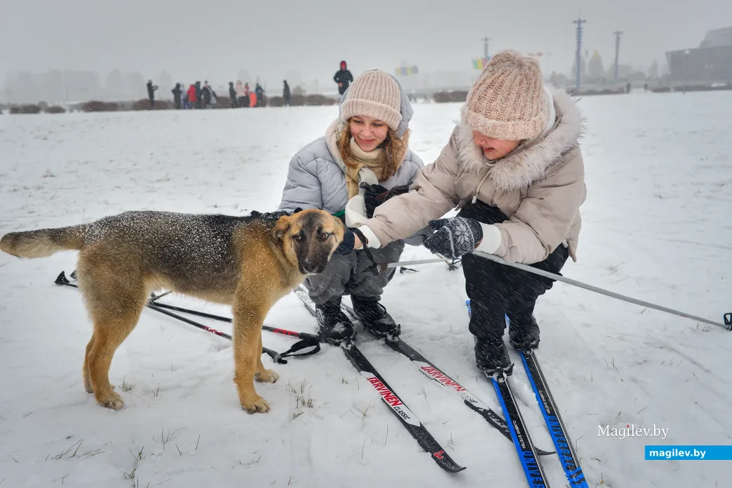 29.01.2022. Бобруйск. Городской зимний спортивный праздник «Бобруйская лыжня - 2022»