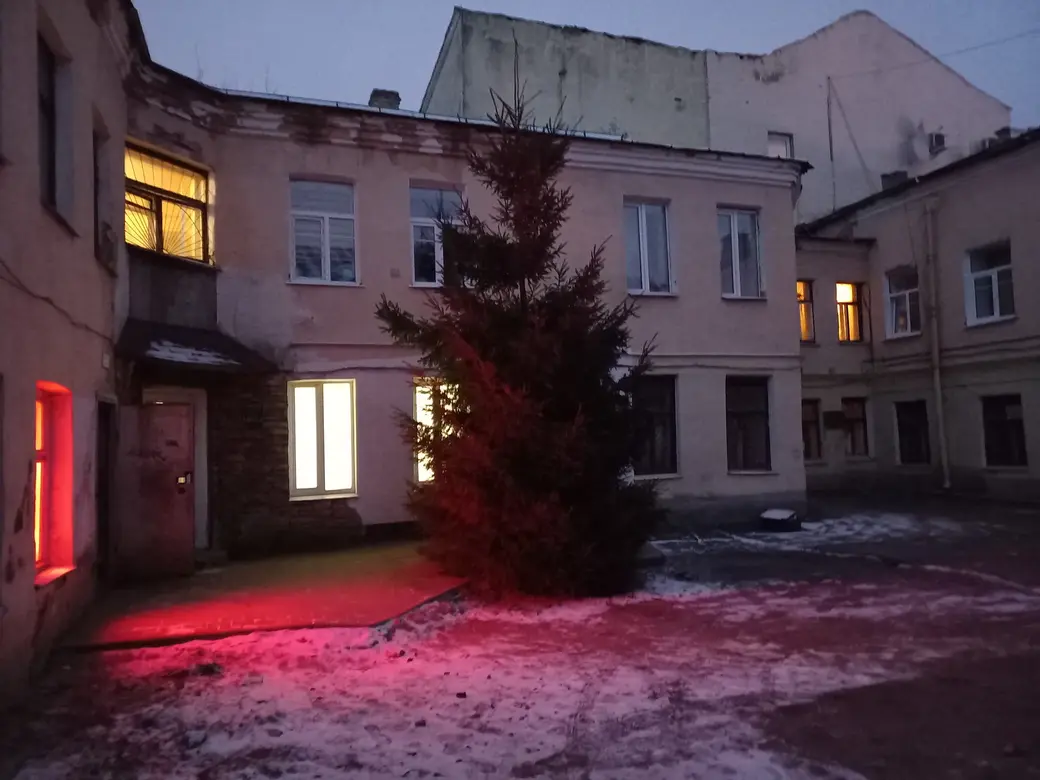 Володина елка, 2022 год