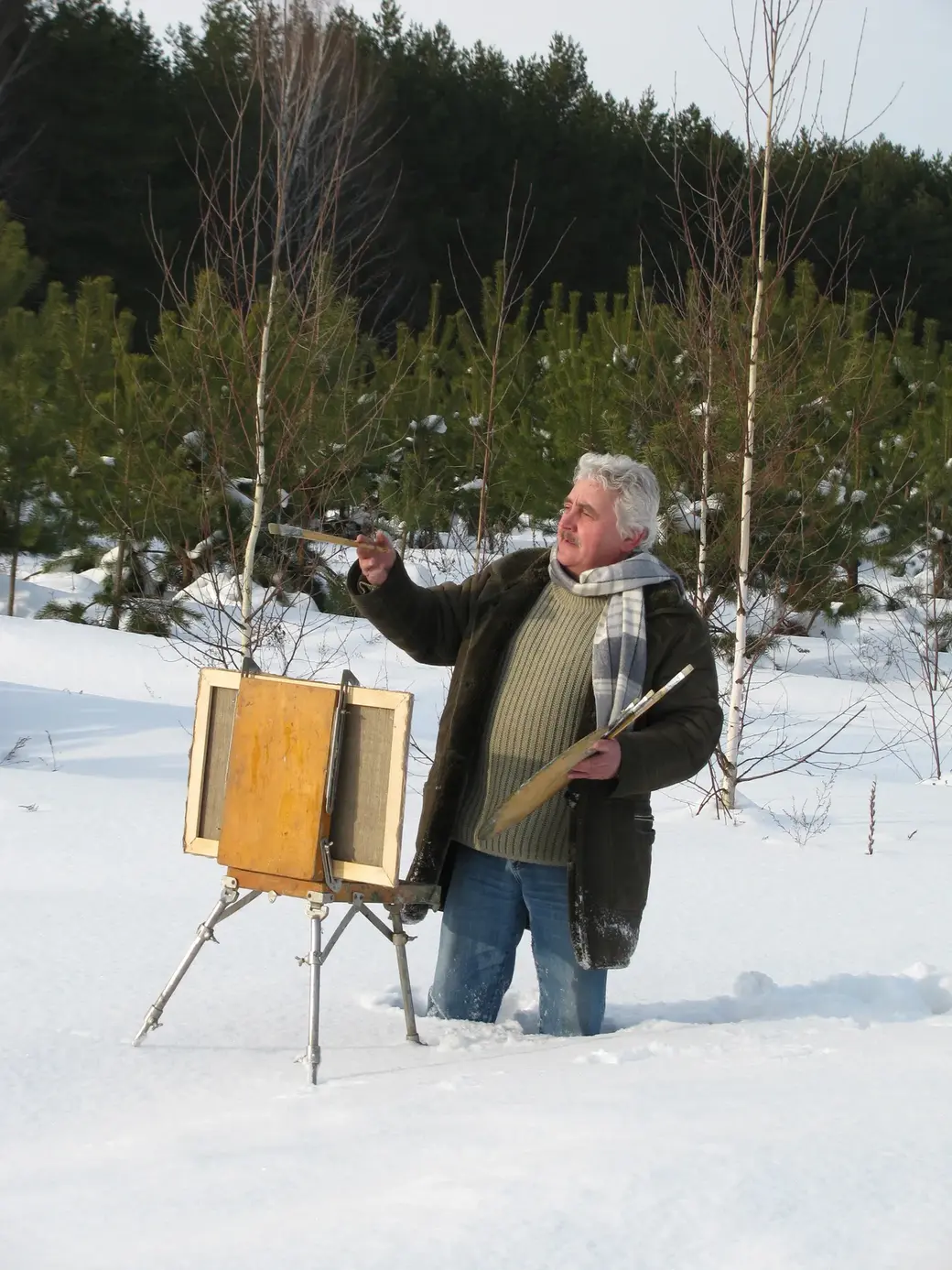 Татьяна Гришаева. Зима вдохновляет