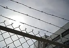 Могилевчанину вынесли приговор по обвинению в убийстве отца с особой жестокостью