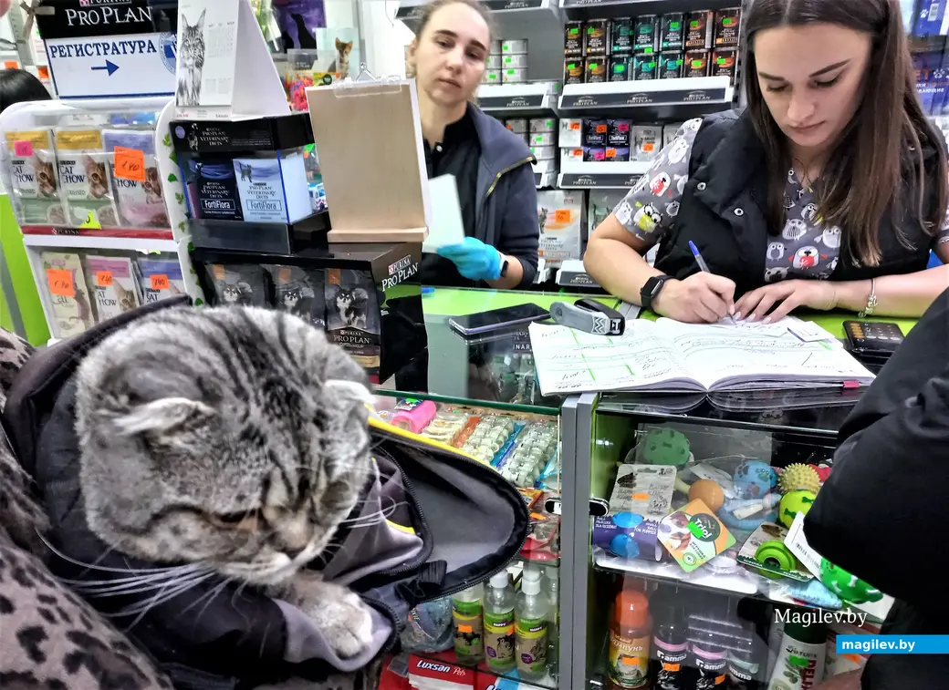 07.02.2022 г. Могилевский филиал ветеринарного центра доктора Базылевского. В ветклинике тоже есть регистратура