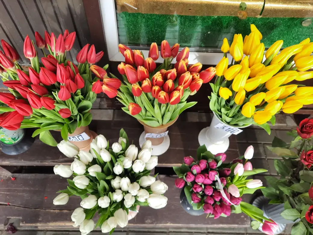 10.02.2022 г. Могилев, Минский рынок. Вот эти тюльпаны по 3 рубля за штуку
