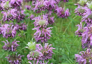 «Хотим, чтобы этот ужас, который сейчас переживаем, закончился»