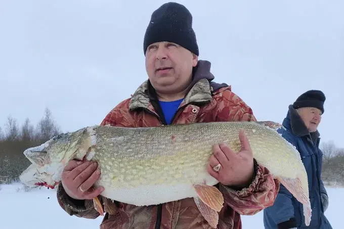 Источник фото: mstlife.by