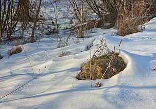 15 марта могилевчанам стоит ждать дождь и мокрый снег