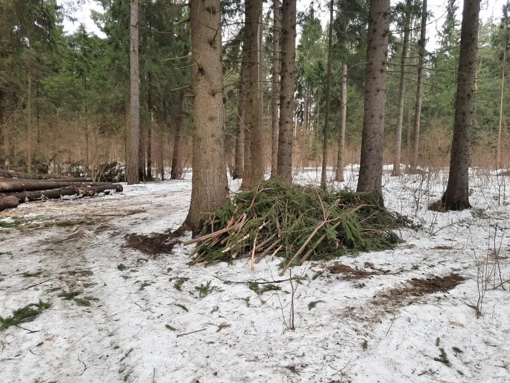 20.02.2022 г. Печерский лесопарк. Ведутся уборочные и восстановительные работы