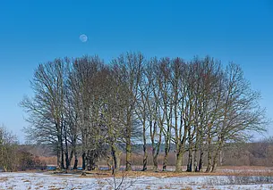 В Могилеве обещают до +15 тепла