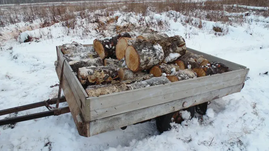 Запастись дровами и навести порядок в лесу предлагает Могилевский лесхоз