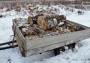 Запастись дровами и навести порядок в лесу предлагает Могилевский лесхоз